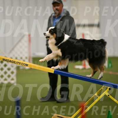 Amazing-Grace-Claudia-Brydon-01818