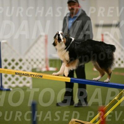 Amazing-Grace-Claudia-Brydon-01819