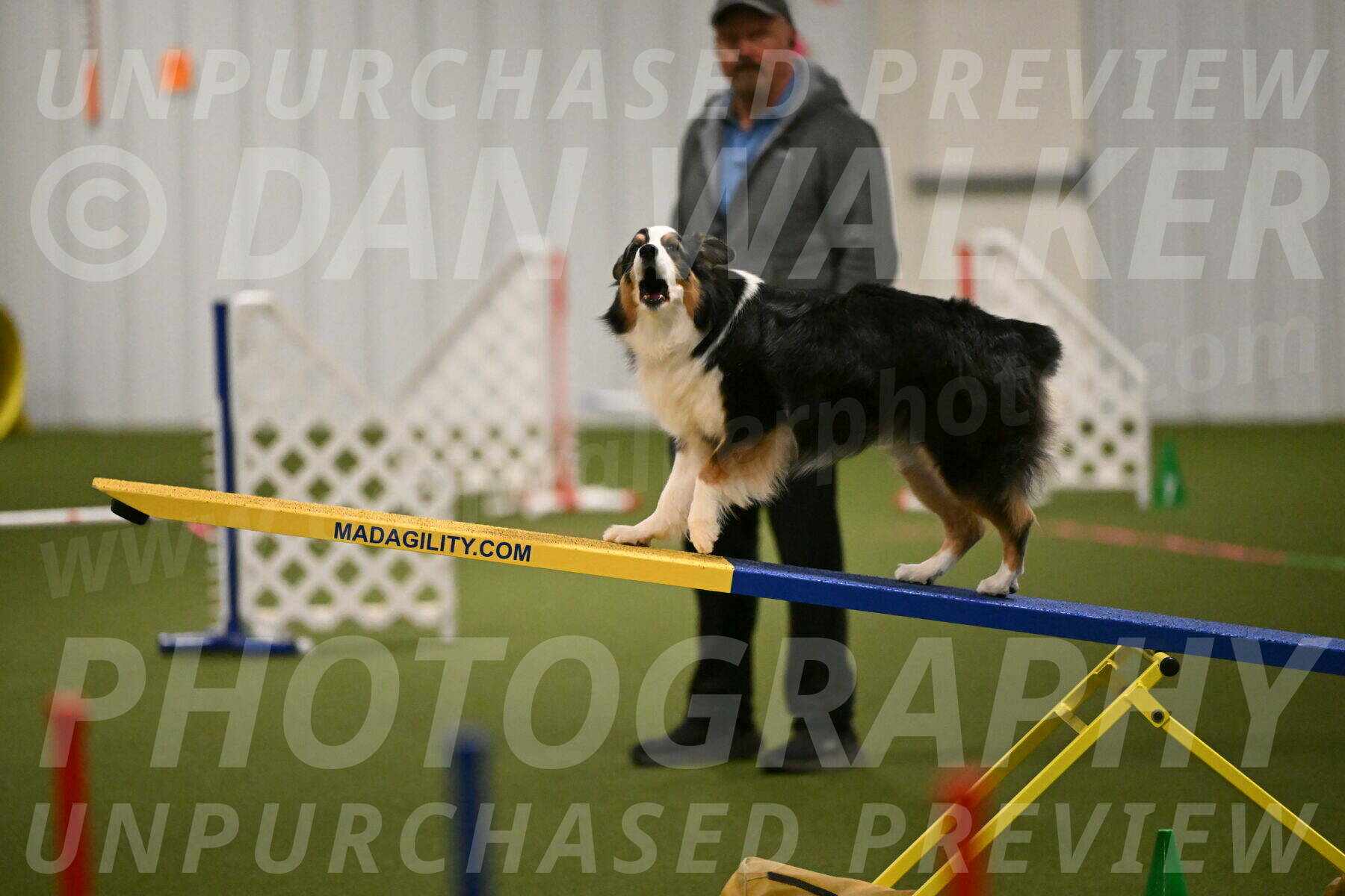 Amazing-Grace-Claudia-Brydon-01819