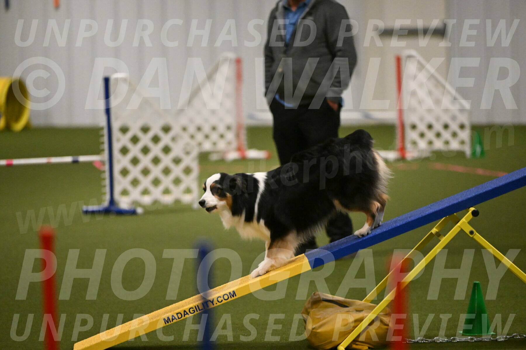 Amazing-Grace-Claudia-Brydon-01820