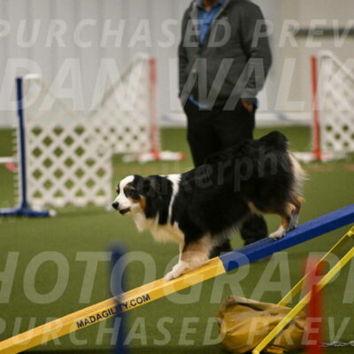 Amazing-Grace-Claudia-Brydon-01820