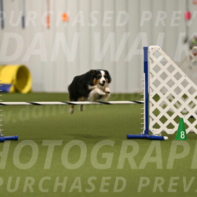 Amazing-Grace-Claudia-Brydon-01821