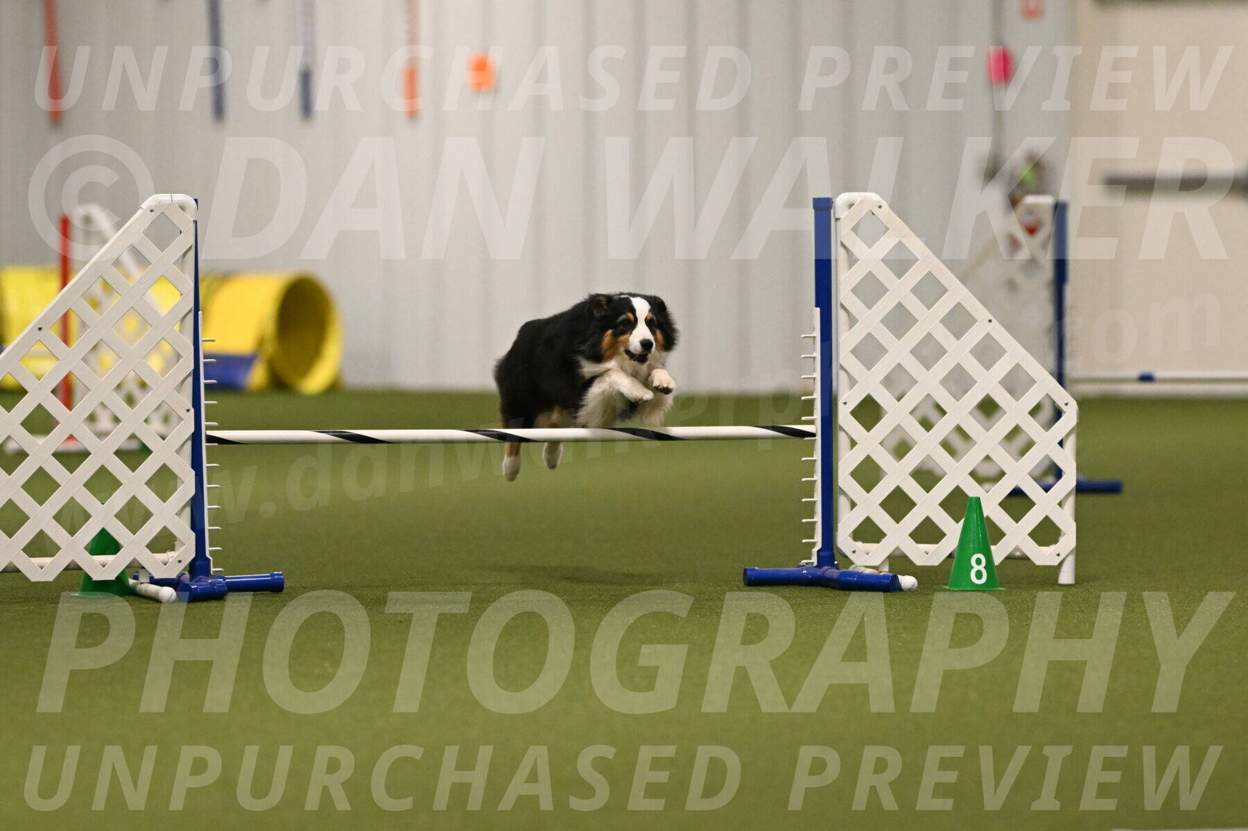 Amazing-Grace-Claudia-Brydon-01821