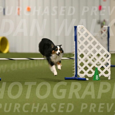 Amazing-Grace-Claudia-Brydon-01822