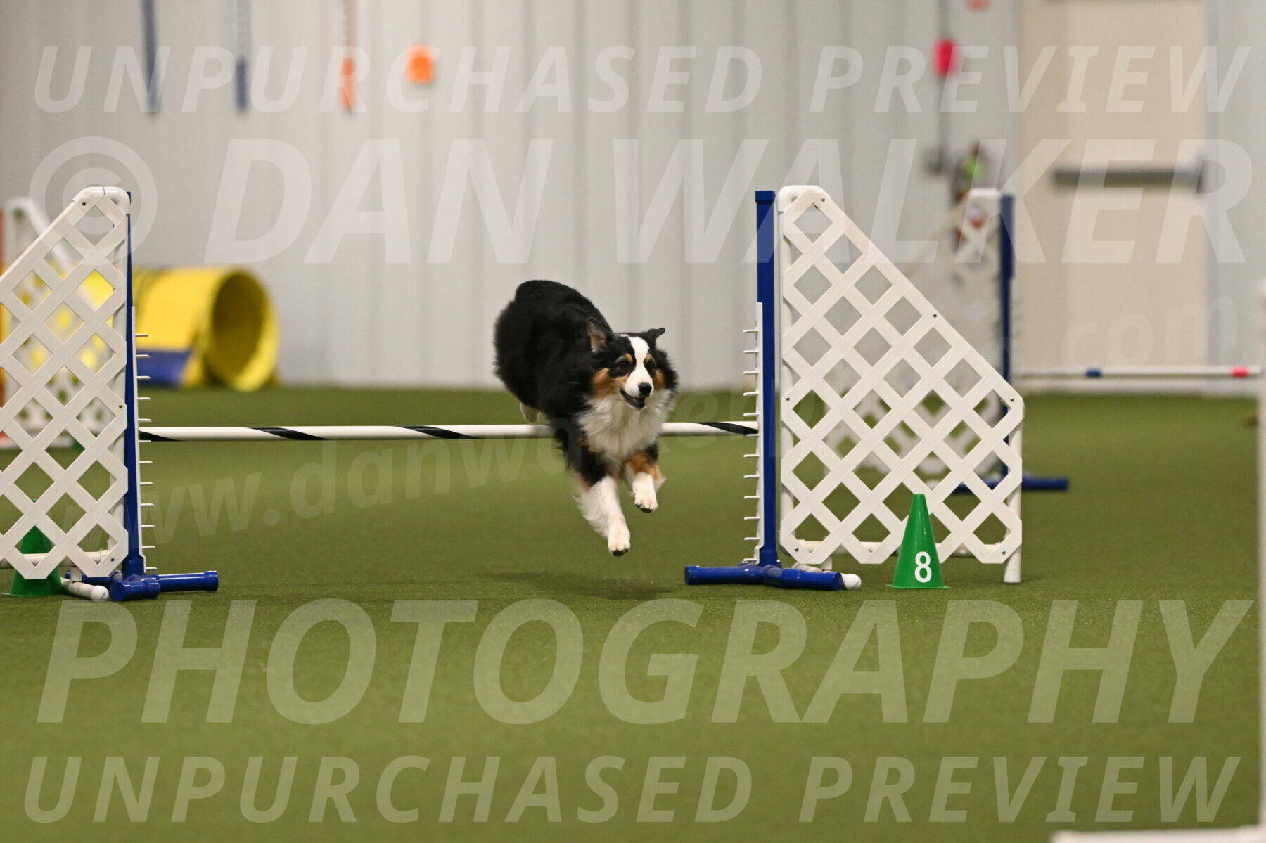 Amazing-Grace-Claudia-Brydon-01822