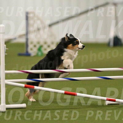 Amazing-Grace-Claudia-Brydon-01823