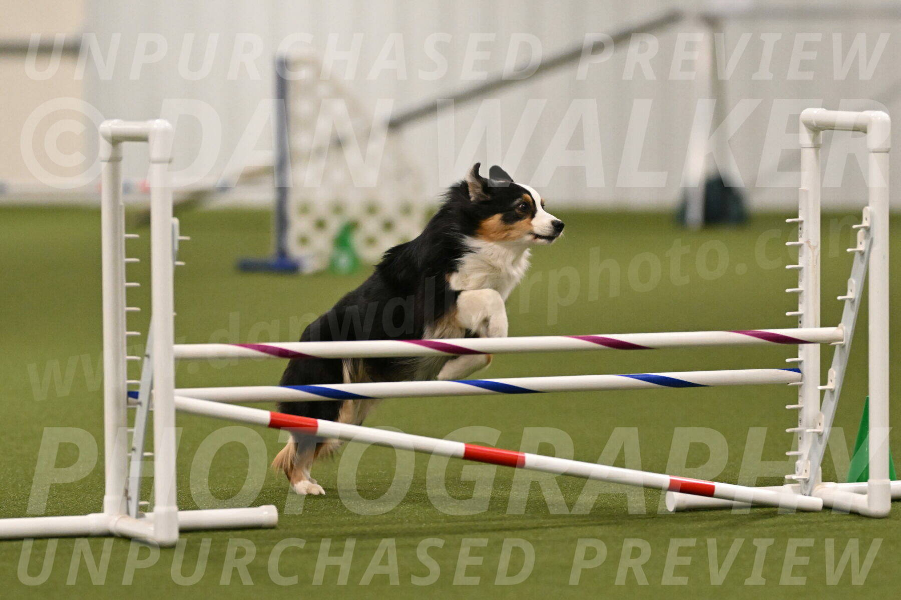 Amazing-Grace-Claudia-Brydon-01823