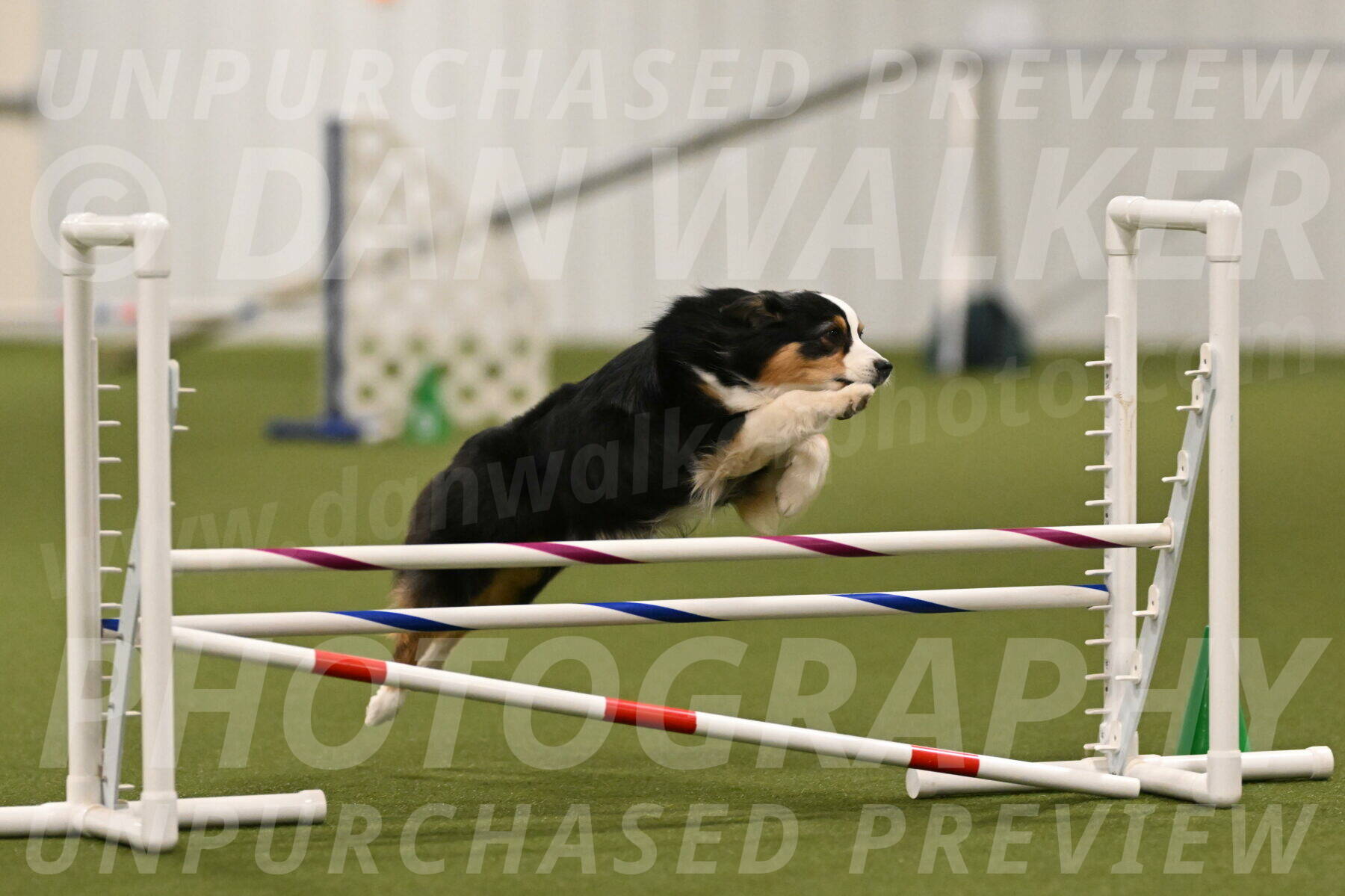 Amazing-Grace-Claudia-Brydon-01824