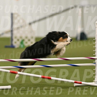 Amazing-Grace-Claudia-Brydon-01824