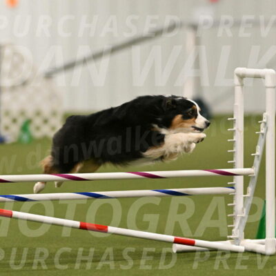 Amazing-Grace-Claudia-Brydon-01825