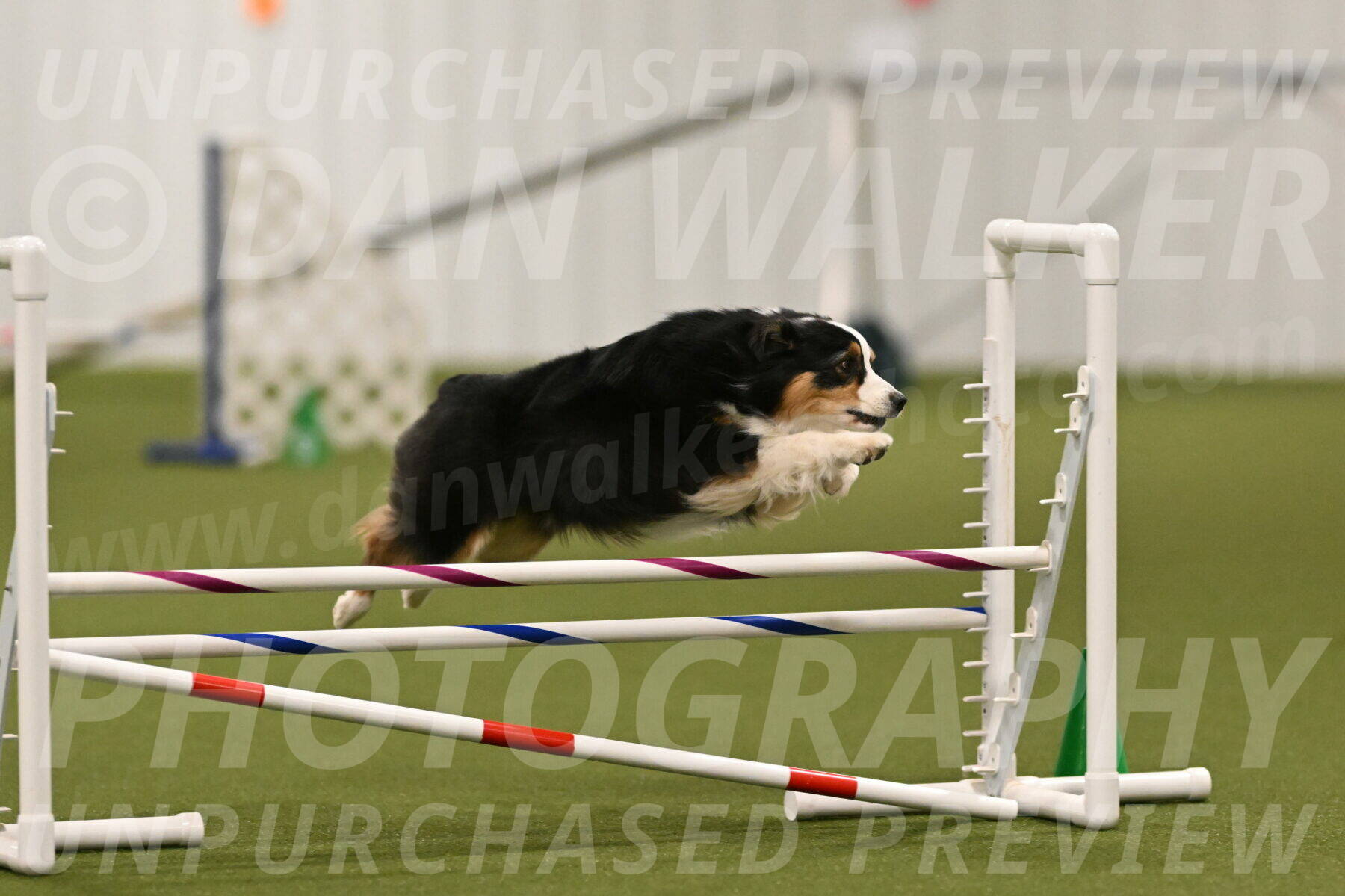 Amazing-Grace-Claudia-Brydon-01825