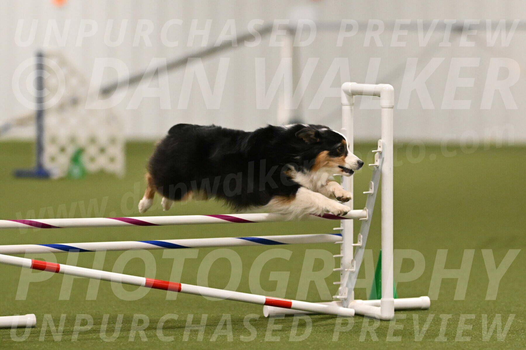 Amazing-Grace-Claudia-Brydon-01826