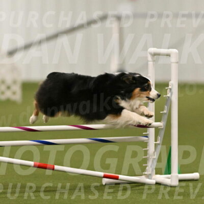 Amazing-Grace-Claudia-Brydon-01826