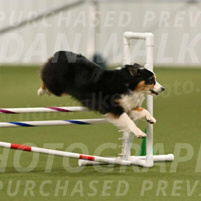 Amazing-Grace-Claudia-Brydon-01827