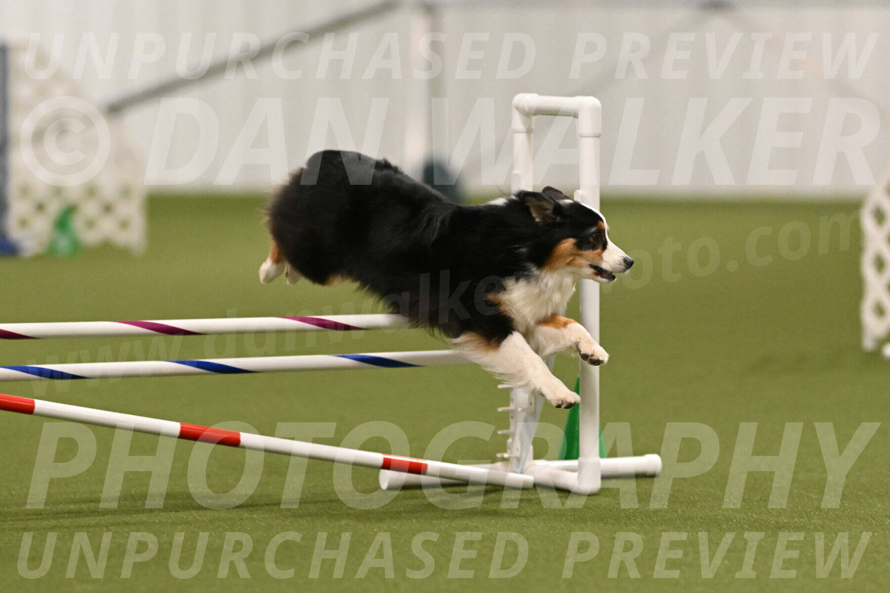 Amazing-Grace-Claudia-Brydon-01827