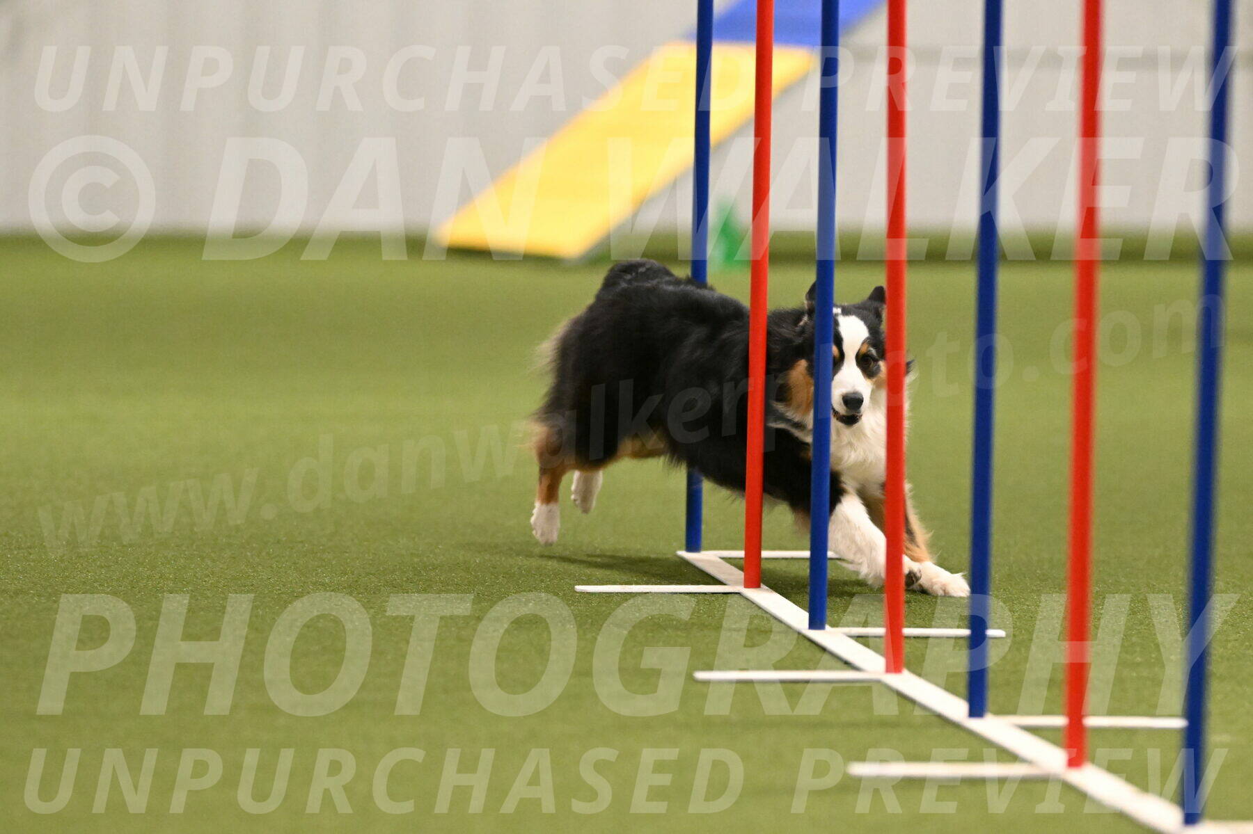 Amazing-Grace-Claudia-Brydon-01828