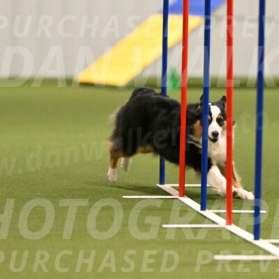 Amazing-Grace-Claudia-Brydon-01828