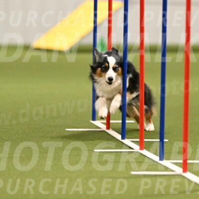 Amazing-Grace-Claudia-Brydon-01829