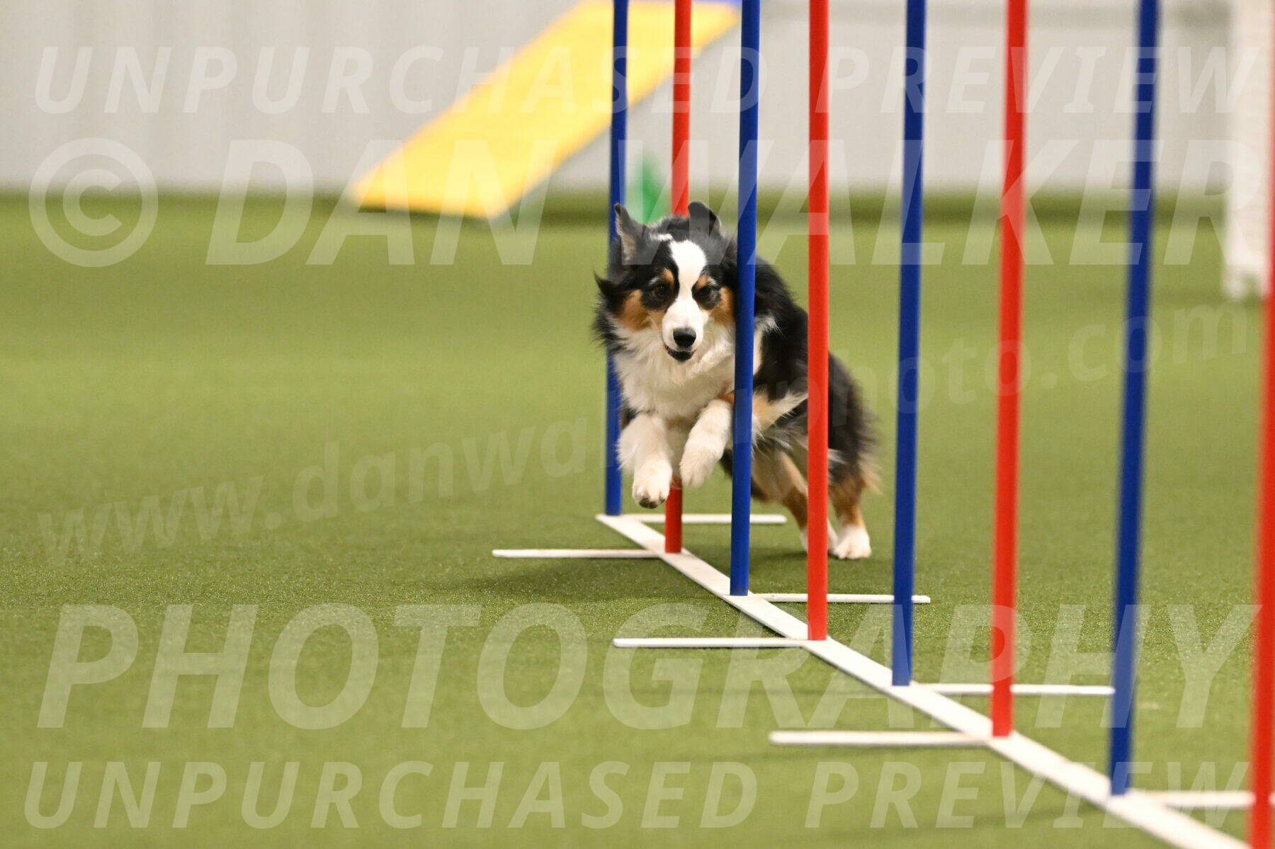 Amazing-Grace-Claudia-Brydon-01829