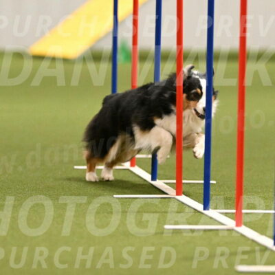 Amazing-Grace-Claudia-Brydon-01830