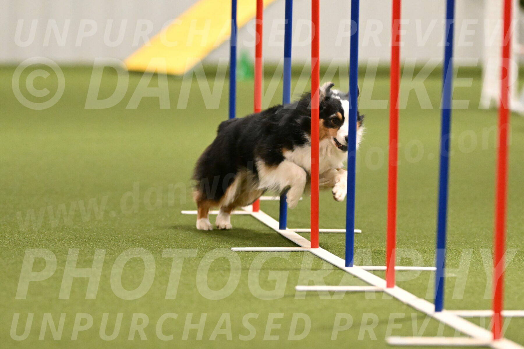 Amazing-Grace-Claudia-Brydon-01830