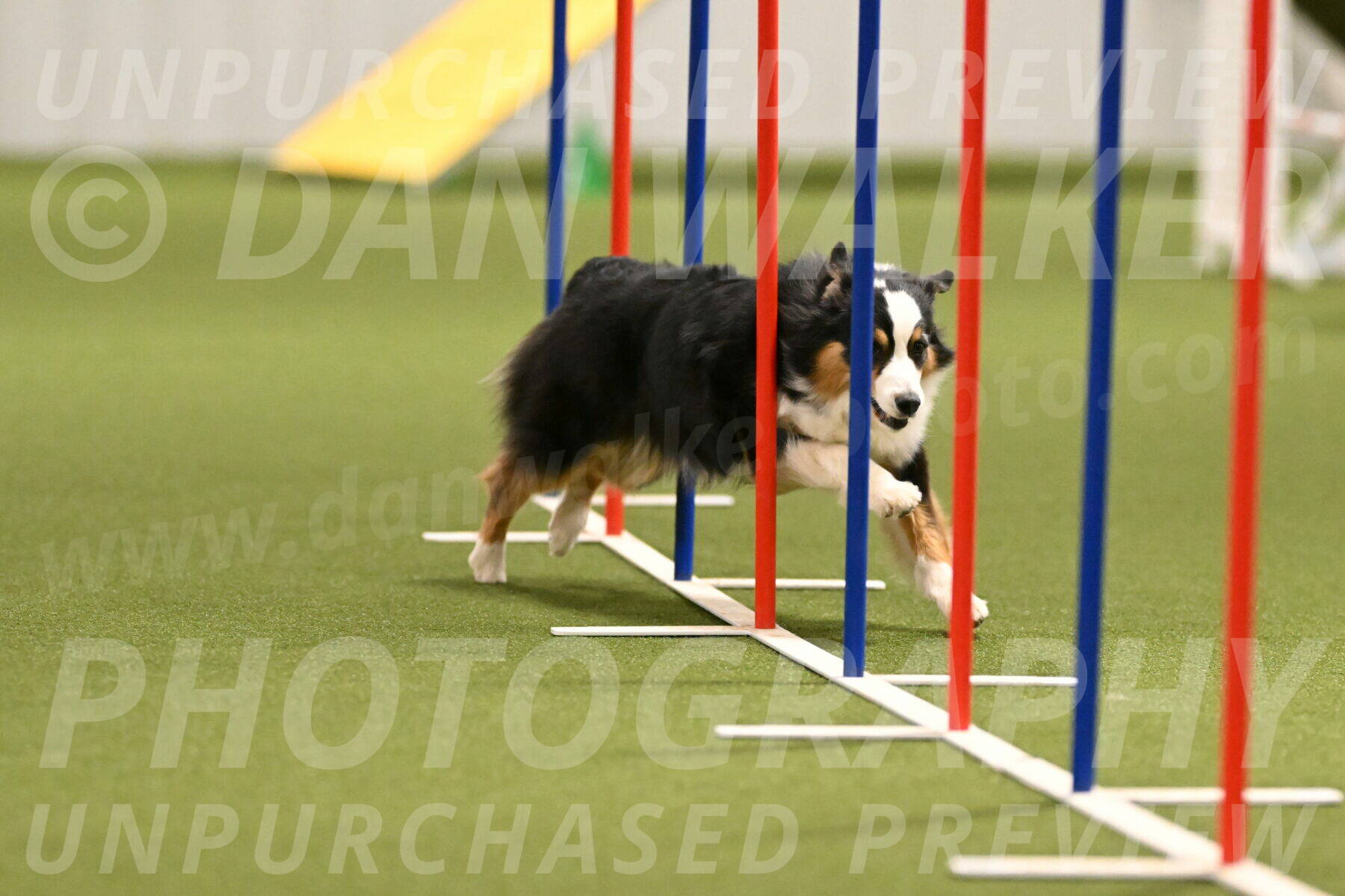 Amazing-Grace-Claudia-Brydon-01831