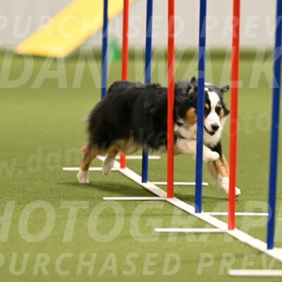 Amazing-Grace-Claudia-Brydon-01831