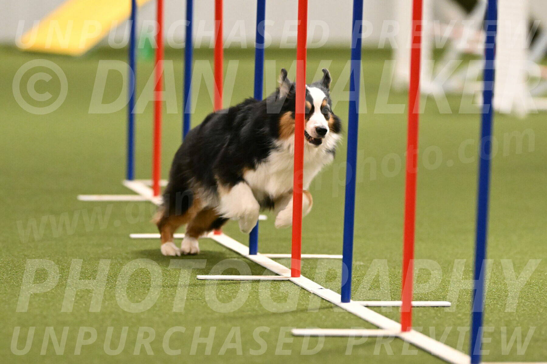 Amazing-Grace-Claudia-Brydon-01832