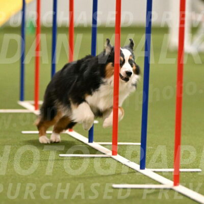 Amazing-Grace-Claudia-Brydon-01832