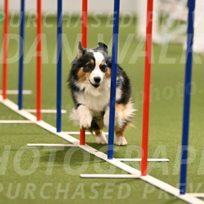 Amazing-Grace-Claudia-Brydon-01833