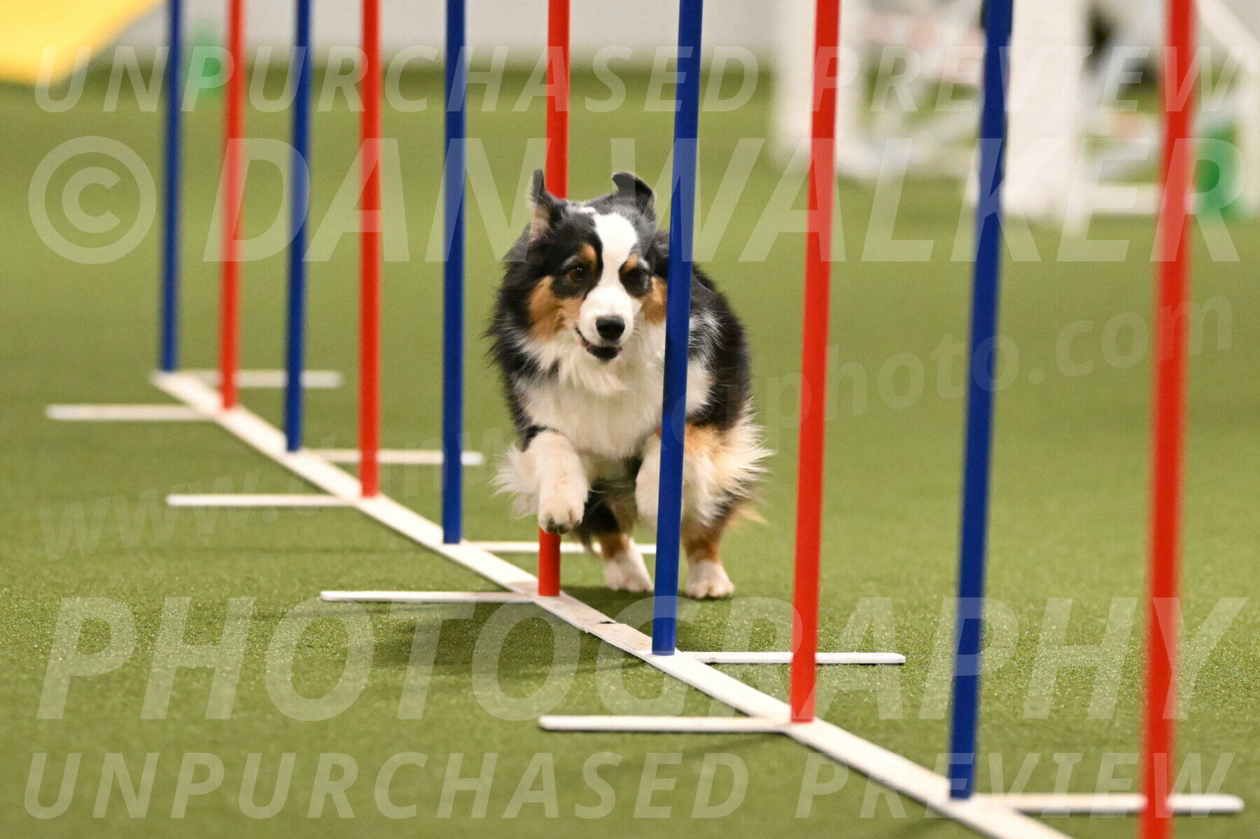 Amazing-Grace-Claudia-Brydon-01833