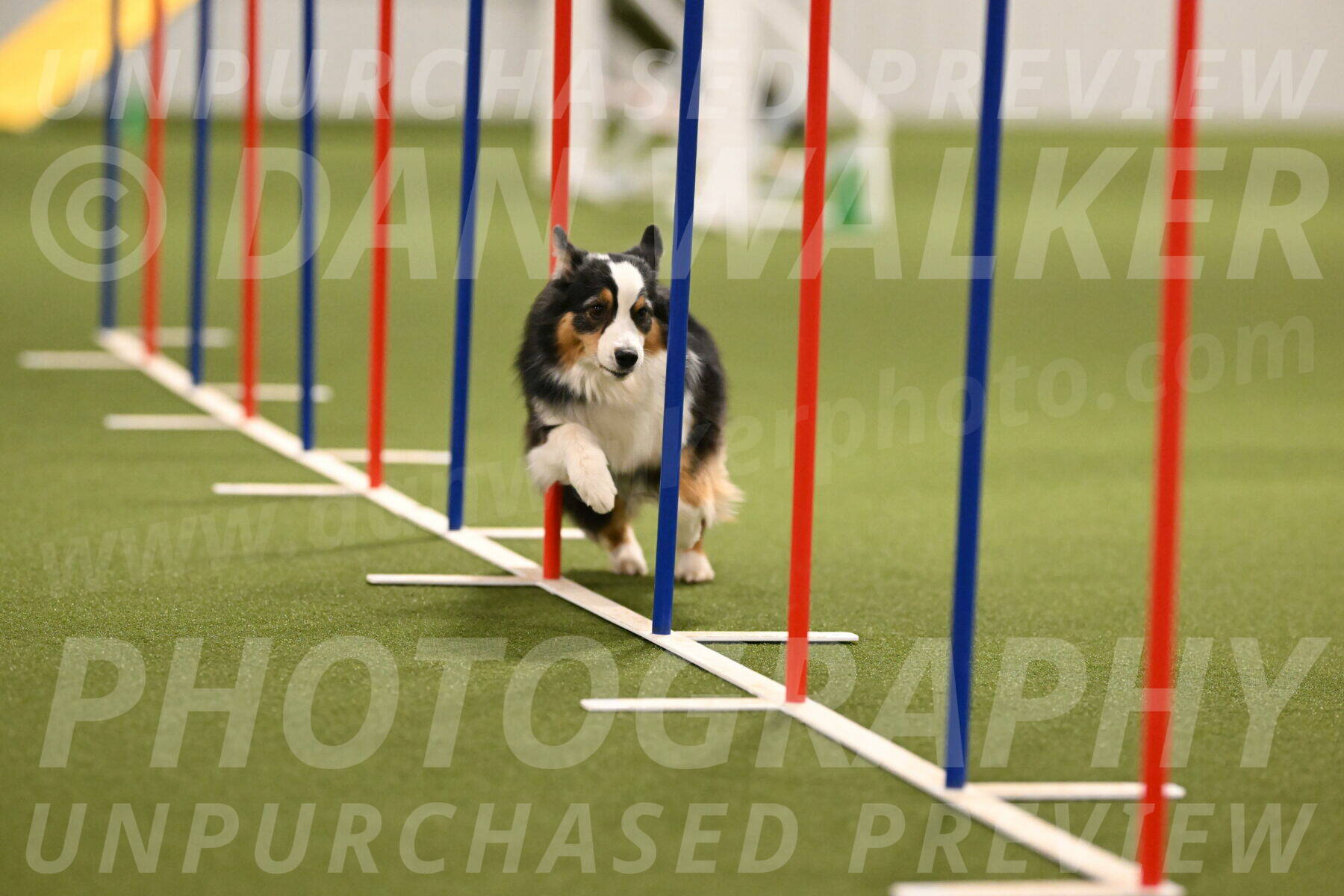 Amazing-Grace-Claudia-Brydon-01834