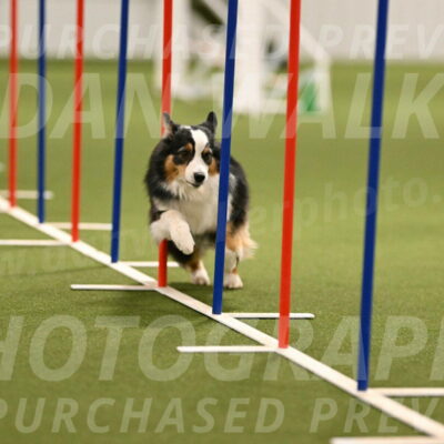 Amazing-Grace-Claudia-Brydon-01834