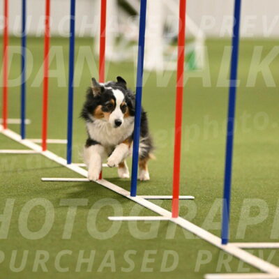 Amazing-Grace-Claudia-Brydon-01835