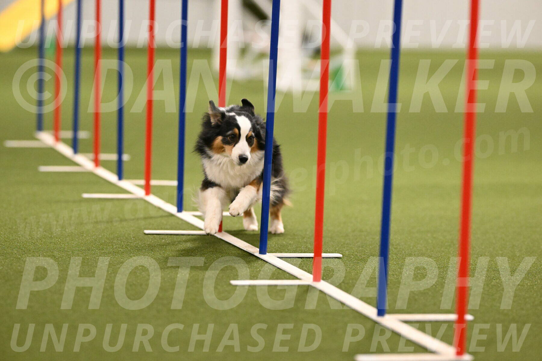 Amazing-Grace-Claudia-Brydon-01835