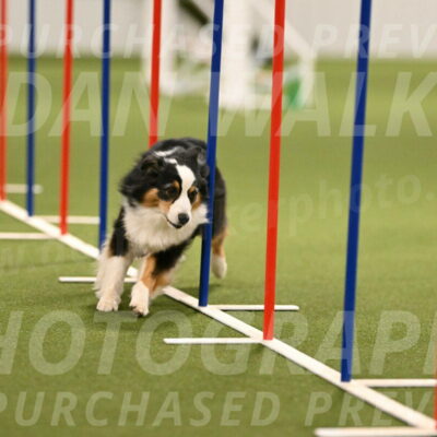 Amazing-Grace-Claudia-Brydon-01836