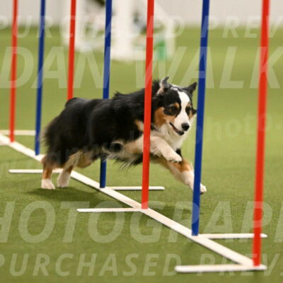 Amazing-Grace-Claudia-Brydon-01837