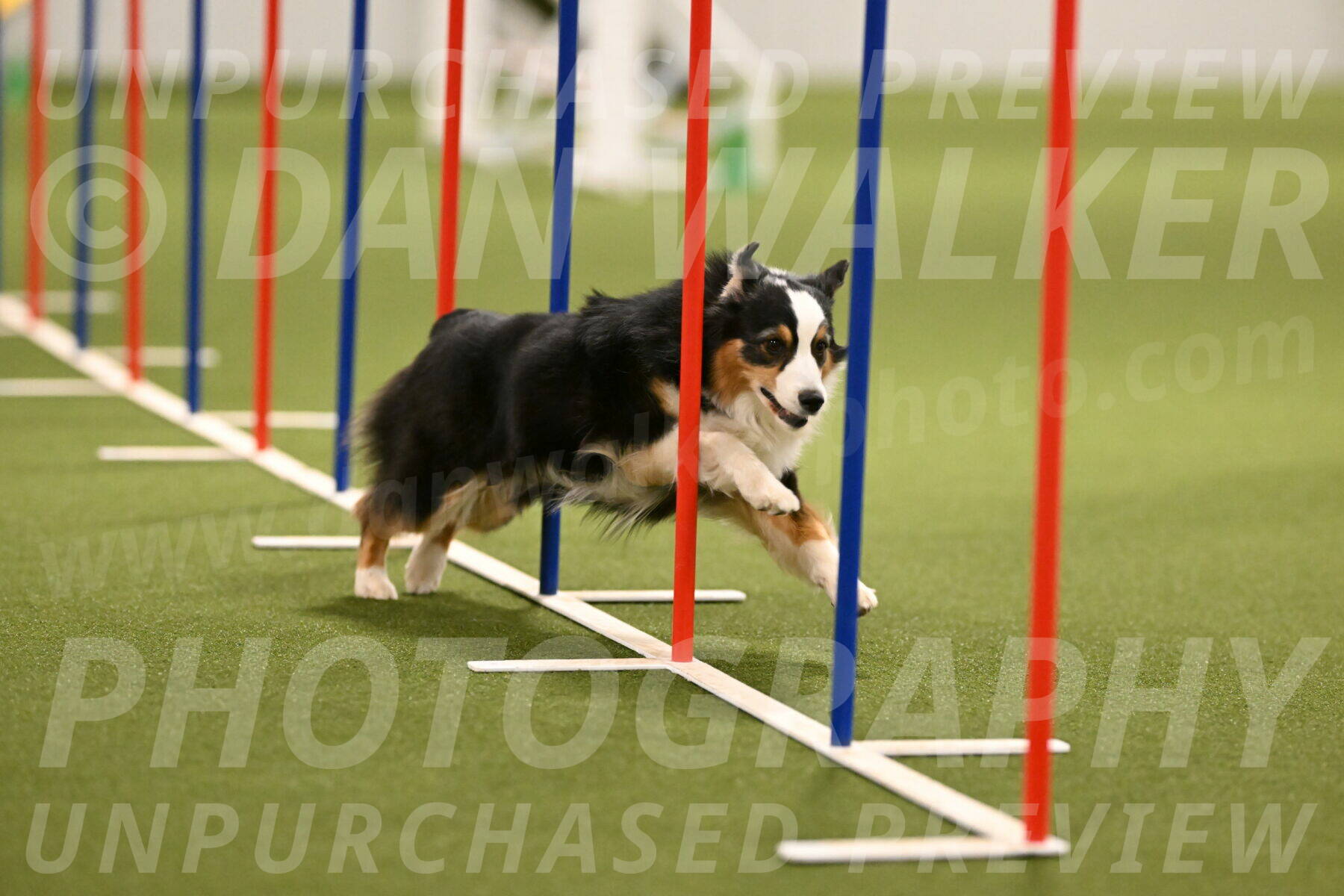 Amazing-Grace-Claudia-Brydon-01837