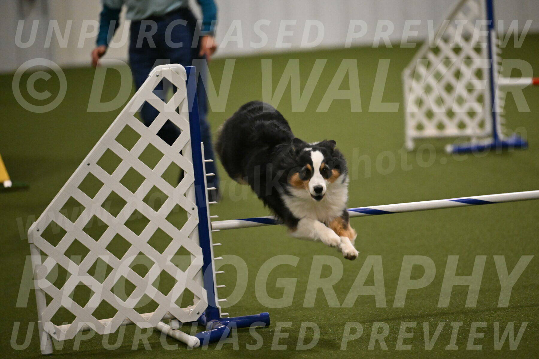 Amazing-Grace-Claudia-Brydon-01838