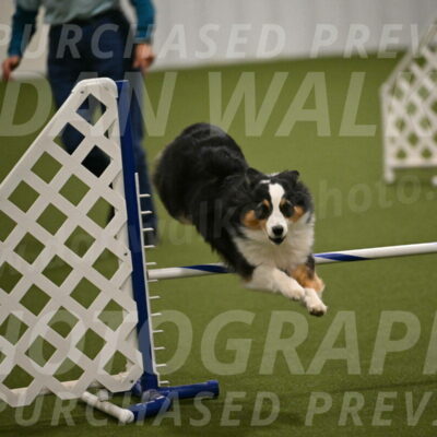 Amazing-Grace-Claudia-Brydon-01838