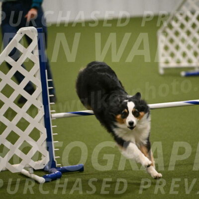 Amazing-Grace-Claudia-Brydon-01839