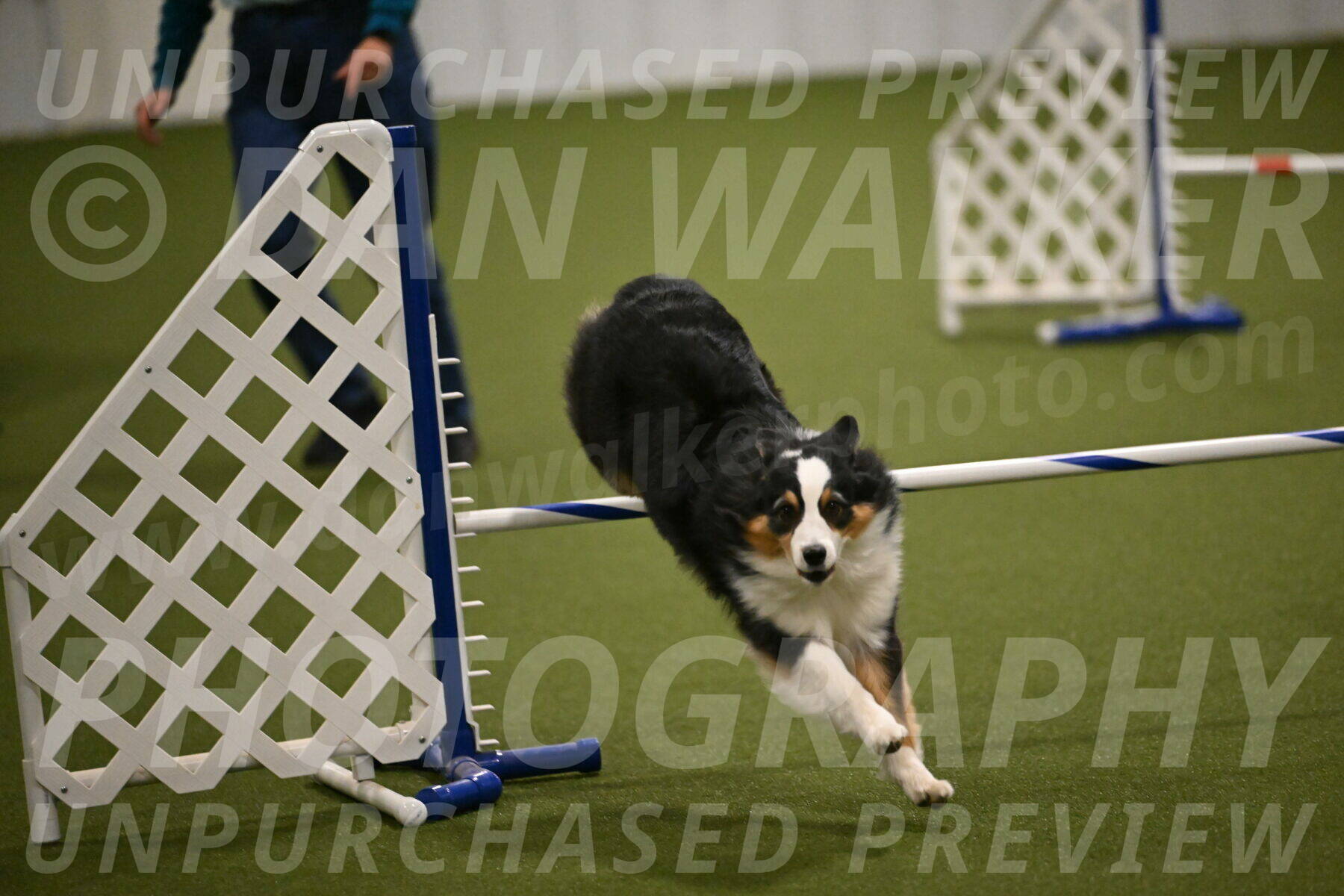 Amazing-Grace-Claudia-Brydon-01839