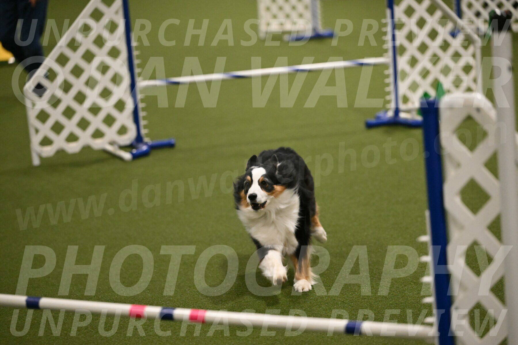 Amazing-Grace-Claudia-Brydon-01840