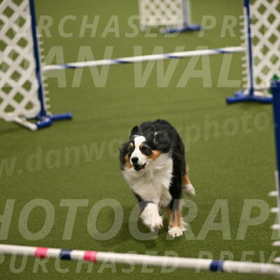 Amazing-Grace-Claudia-Brydon-01840