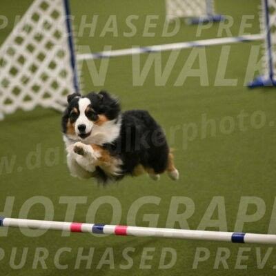 Amazing-Grace-Claudia-Brydon-01841