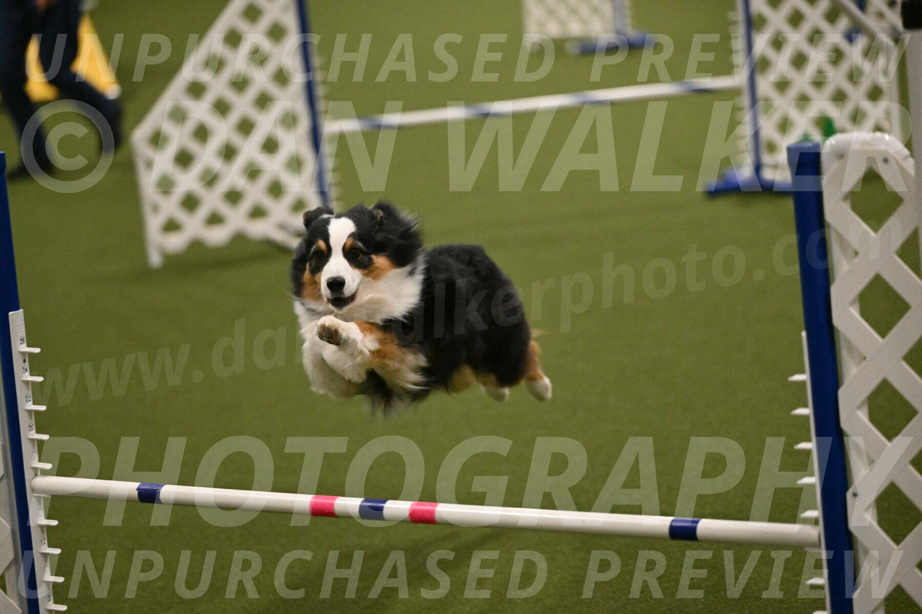 Amazing-Grace-Claudia-Brydon-01841