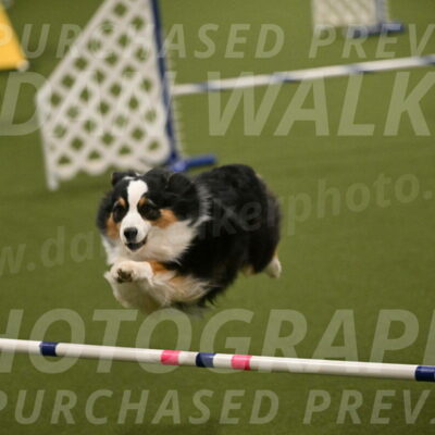 Amazing-Grace-Claudia-Brydon-01842