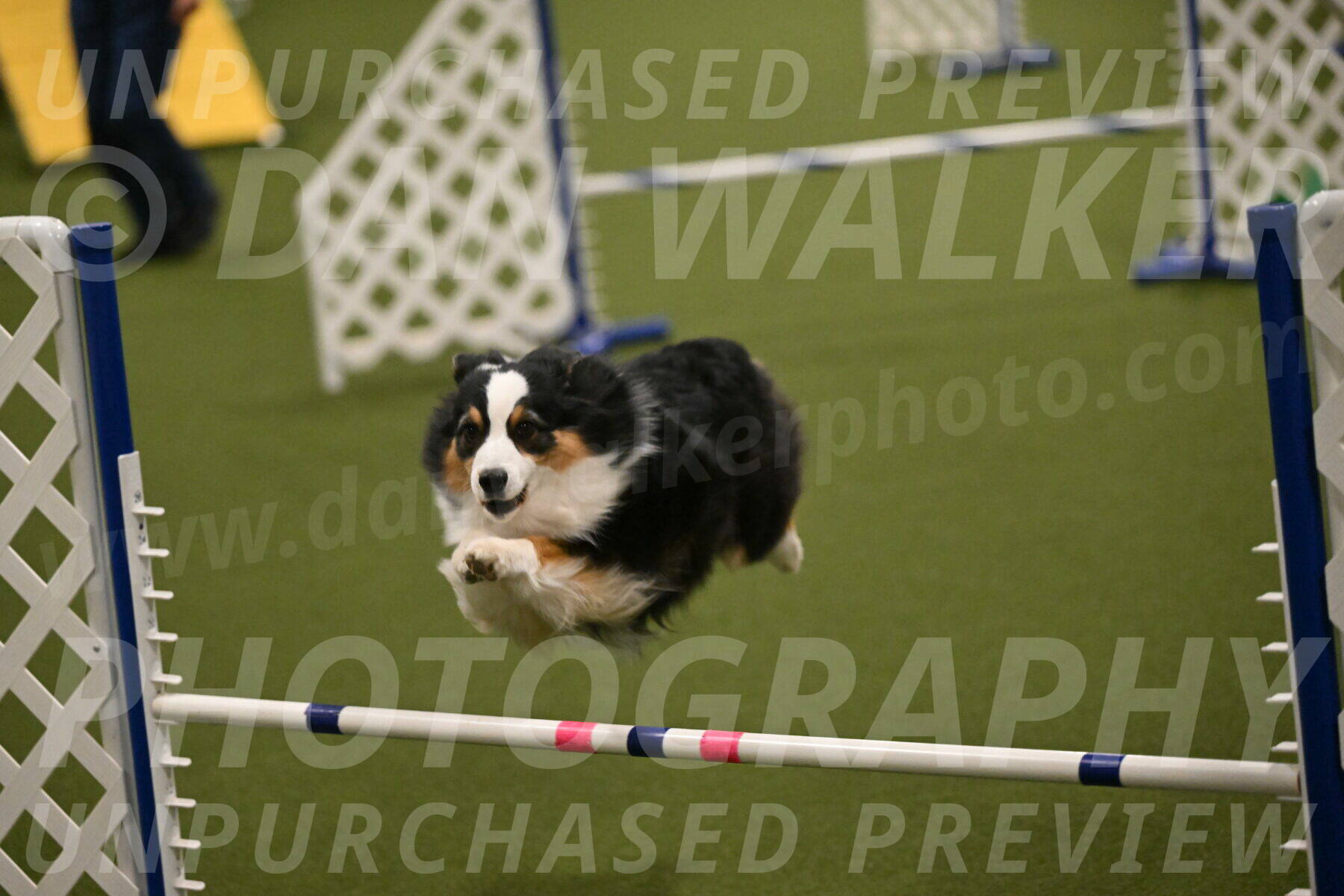 Amazing-Grace-Claudia-Brydon-01842