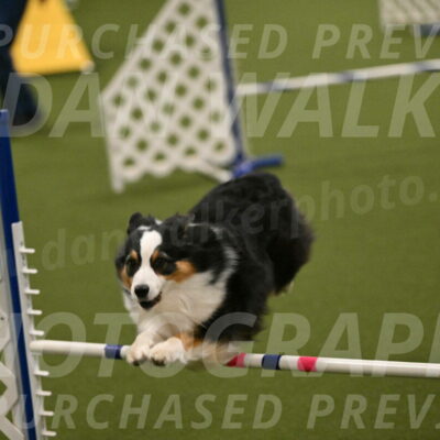 Amazing-Grace-Claudia-Brydon-01843