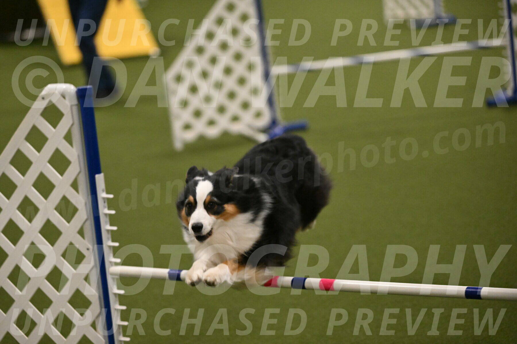 Amazing-Grace-Claudia-Brydon-01843